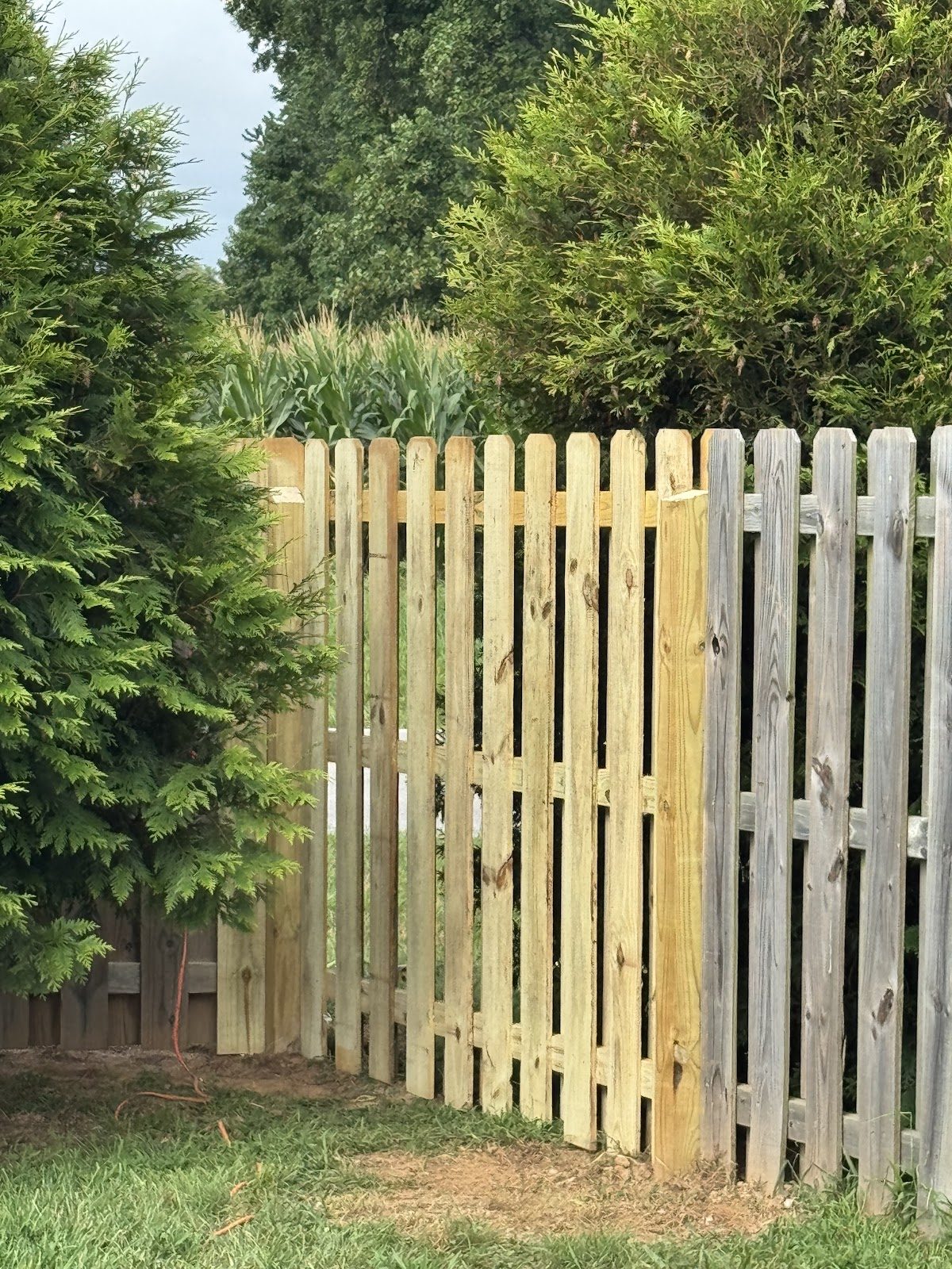 After: repaired shadow box fence corner