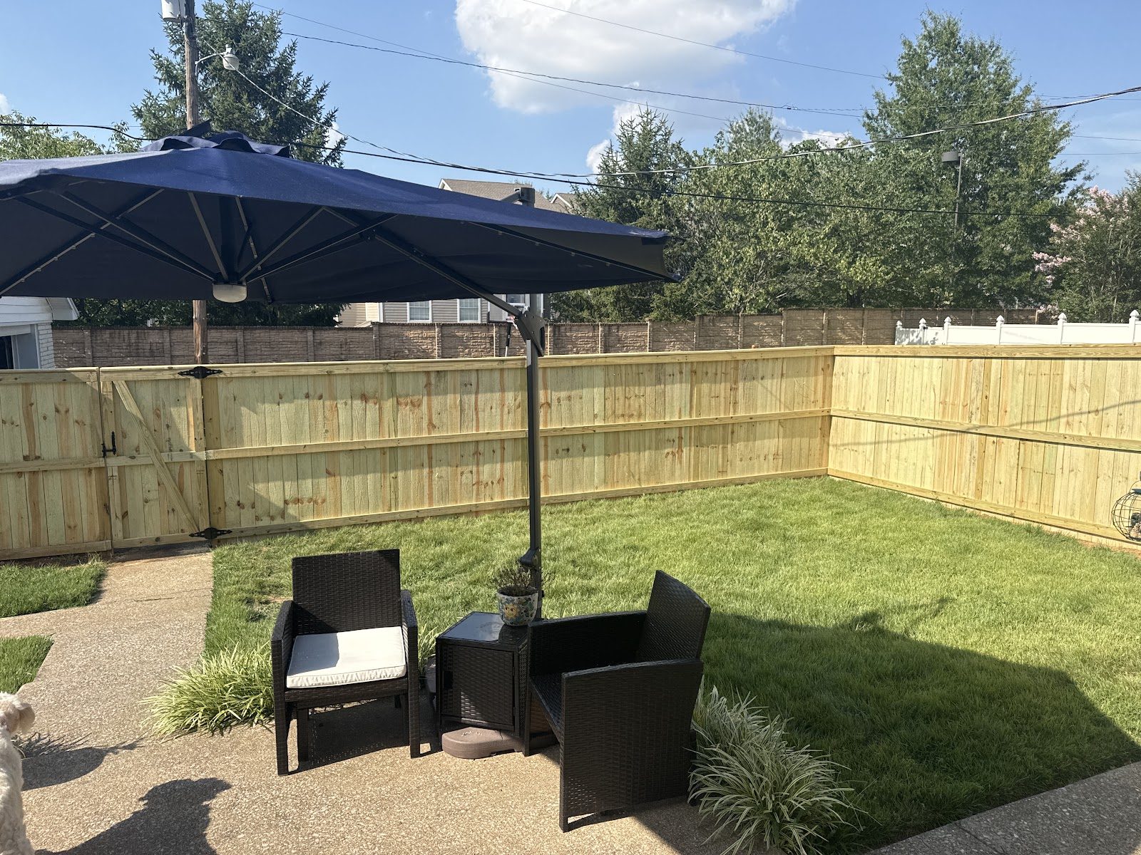 New wood privacy fence around a backyard patio